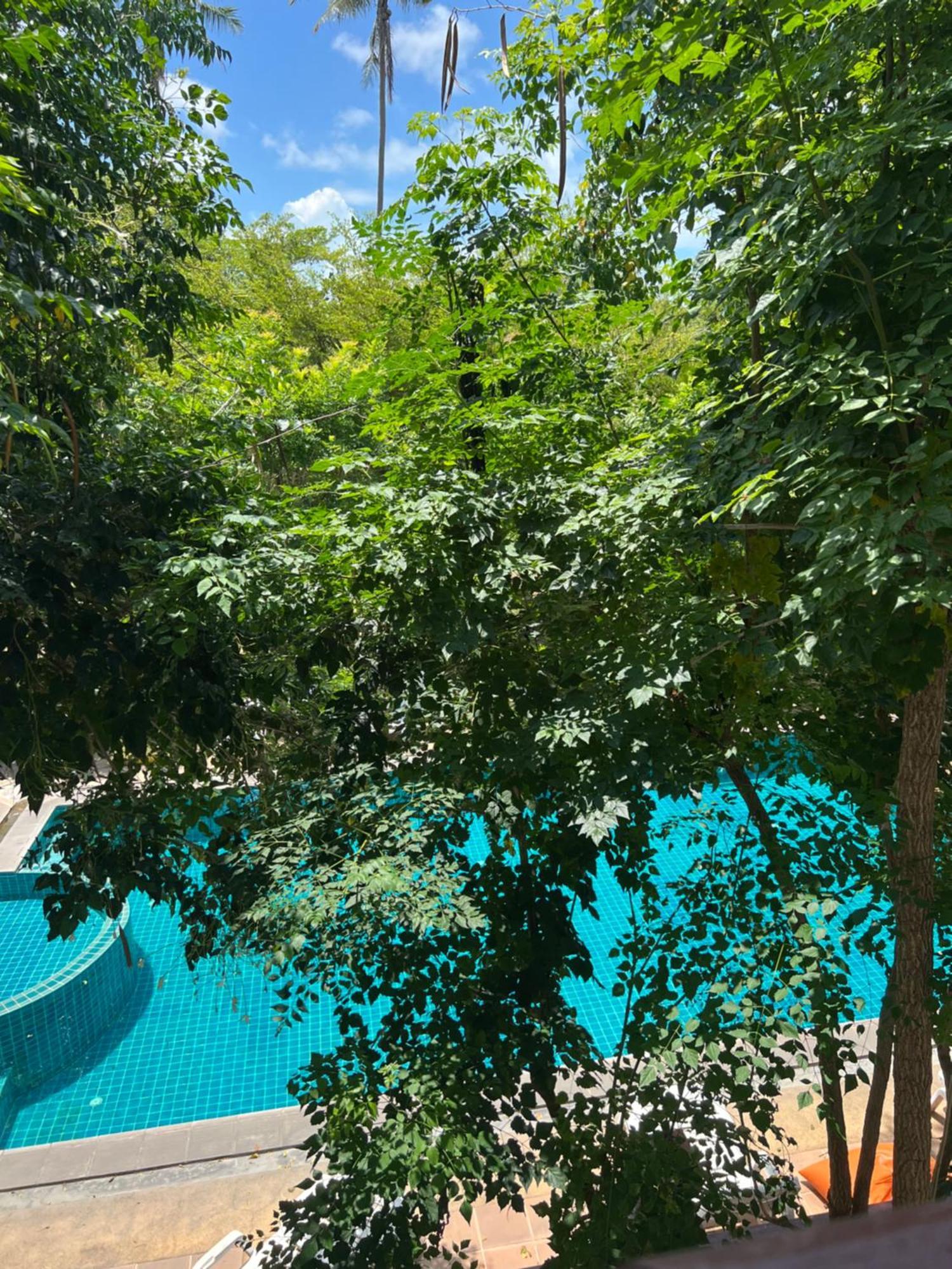 Samui Seabreeze Place Ko Samui Eksteriør billede
